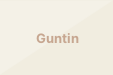Guntin