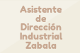 Asistente de Dirección Industrial Zabala
