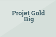 Projet Gold Big