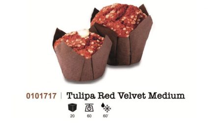 Tulipa red Velvet Medium