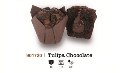 Tulipa Chocolate