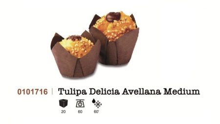 Tulipa Delicia Avellana Medium