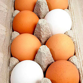 Conservación de los huevos frescos y uso de  ovoproductos
