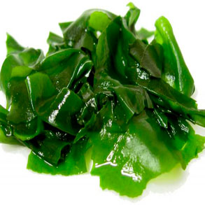 Las algas son muy bien aceptadas por sus beneficios en el organismo