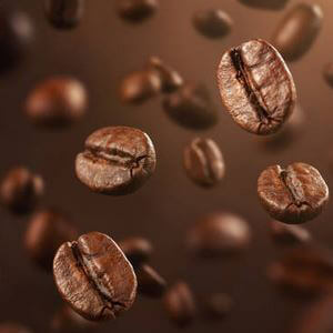 Proveedores de cafe en grano