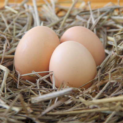 ¡Huevos frescos en bares y restaurantes! Descubre los cambios en la regulación alimentaria