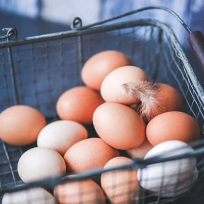 El secreto de los huevos frescos de gallina: La importancia de la calidad en la industria alimentaria