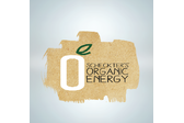 Scheckters Organic Energy Drink