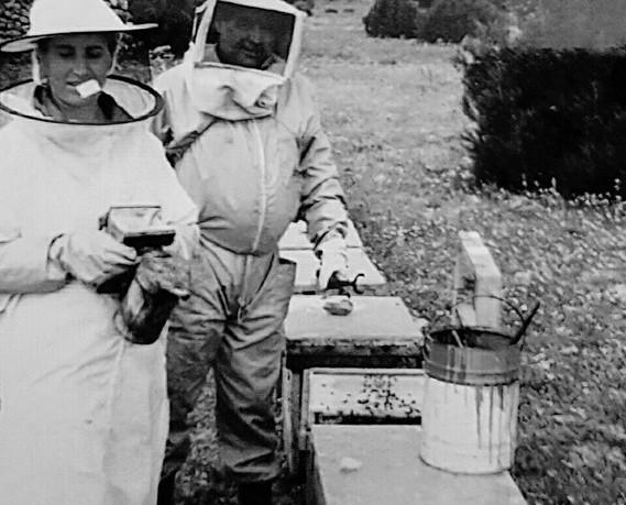 Empresa familiar. Nos dedicamos desde 1929 a la apicultura