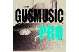 GUSMUSIC | Producciones Audiovisuales y Espectáculos