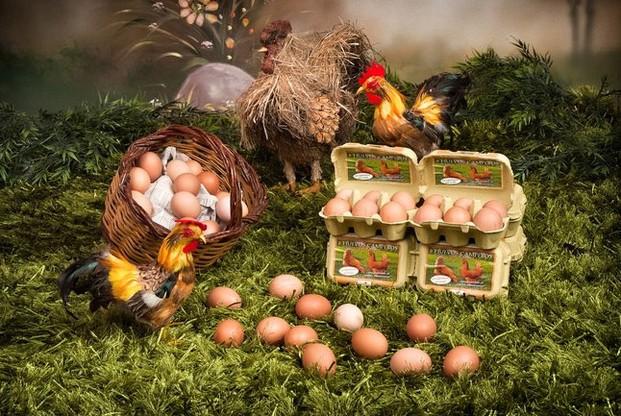 Huevos camperos. Tradicionales y frescos huevos de gallina campera