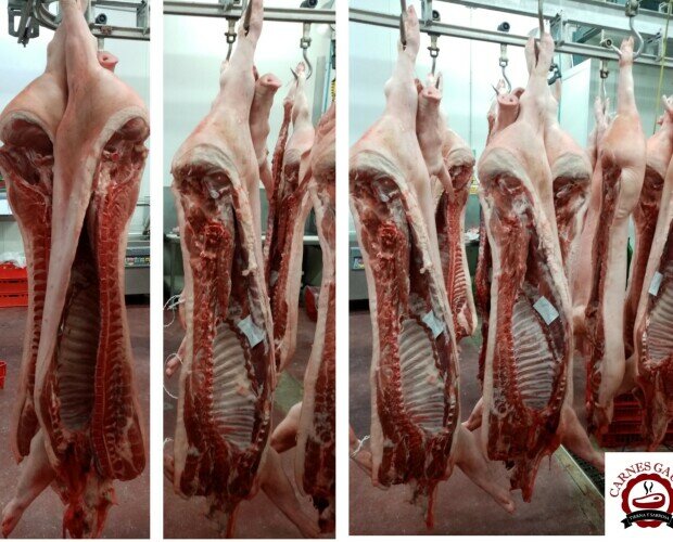 Canales cerdo Duroc. Carnes Gausa suministra carne de cerdo, especialmente de la raza duroc.