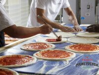 Bases de Pizza Congeladas. Colocación de toma en bases de pizza redonda