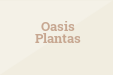 Oasis Plantas