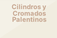Cilindros y Cromados Palentinos