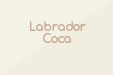 Labrador Coca