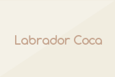 Labrador Coca