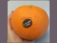 Naranjas. Calidad a buen precio