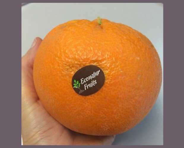 Naranjas econatur. Calidad a buen precio
