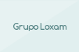 Grupo Loxam