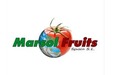 Marsols Fruits