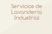 Servicios de Lavandería Industrial