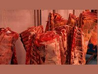 Carne de Ternera. Piezas de carne de ternera de máxima calidad
