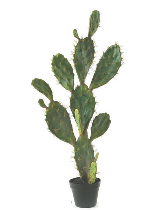 Cactus artificiales. Ofrecemos mini cáctus y bonsais