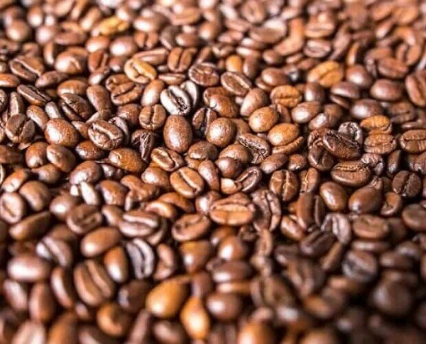 Café en grano. Ofrecemos café de la mejor calidad