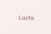 Lucta