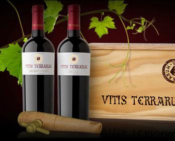 Vinos Vitis Terrarum. Vinos reserva de pago monovarietales 100% uva certificada. Tempranillo, Cabernet Sauvignon y Syrah.
