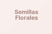 Semillas Florales