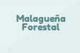 Malagueña Forestal