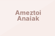 Ameztoi Anaiak