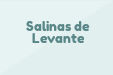 Salinas de Levante