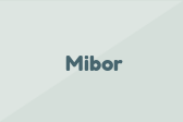 Mibor