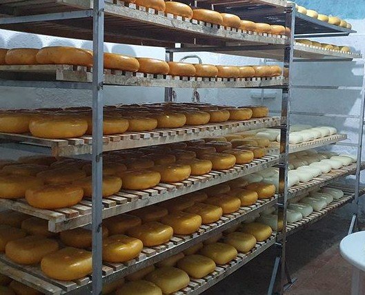 Maduración.. Una de nuestras salas de maduración, donde curamos nuestros deliciosos quesos.
