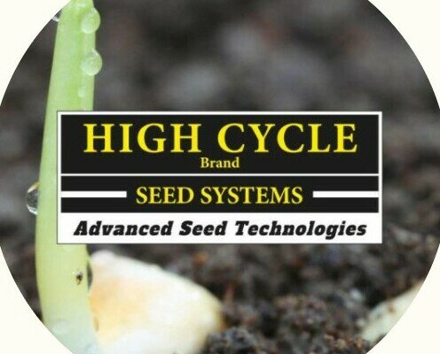 High Cycle – Seeds Systems. Nuestra línea de maíz emergente, que surge para responder a importantes necesidades.