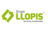 Grupo Llopis