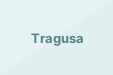Tragusa