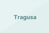 Tragusa