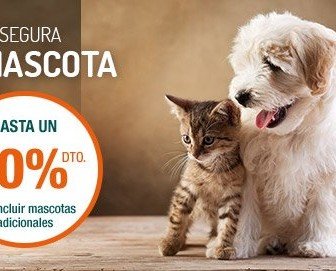 Caser Más Que Mascotas. El seguro definitivo para perros y gatos. Ahora cuidar de la salud de tu mascota sin que te cueste un ojo de la cara, es posible.