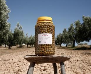 Aceituna arbequina 2,5 kg. El tamaño de su fruto es el menor de las variedades cultivadas en España, entre uno y dos gramos.