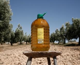 Aceite de oliva 5L. Se elabora bajo cuidadas medidas de producción, utilizando frutos de calidad