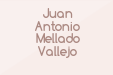 Juan Antonio Mellado Vallejo