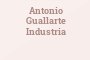 Antonio Guallarte Industria