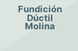 Fundición Dúctil Molina