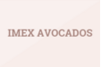 Imex Avocados