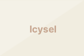 Icysel
