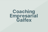 Coaching Empresarial Galfex